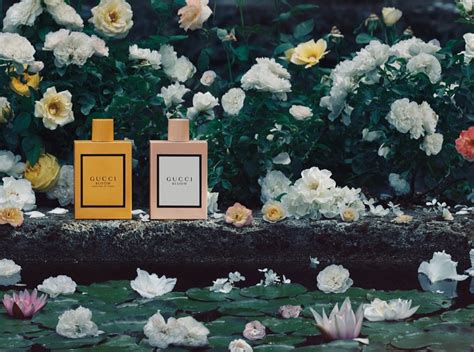 gucci in bloom florence|gucci bloom perfume on sale.